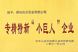 专精特新小巨人企业证书